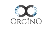 ORGİNO MEDYA TEKNOLOJİ HİZMETLERİ